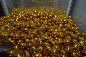 Golden yellow eggs