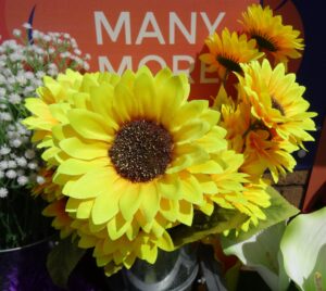 sunflowers yellow