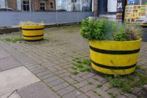 Yellow garden tubs, hogshead barels